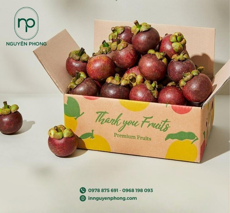 Mẫu thùng carton đựng măng cụt in đơn giản